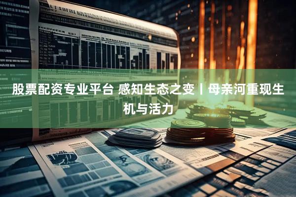 股票配资专业平台 感知生态之变丨母亲河重现生机与活力