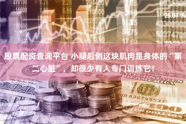 股票配资查询平台 小腿后侧这块肌肉是身体的“第二心脏”，却很少有人专门训练它！